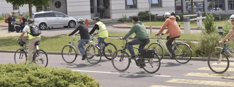 Sustainable Buildings and Transport
