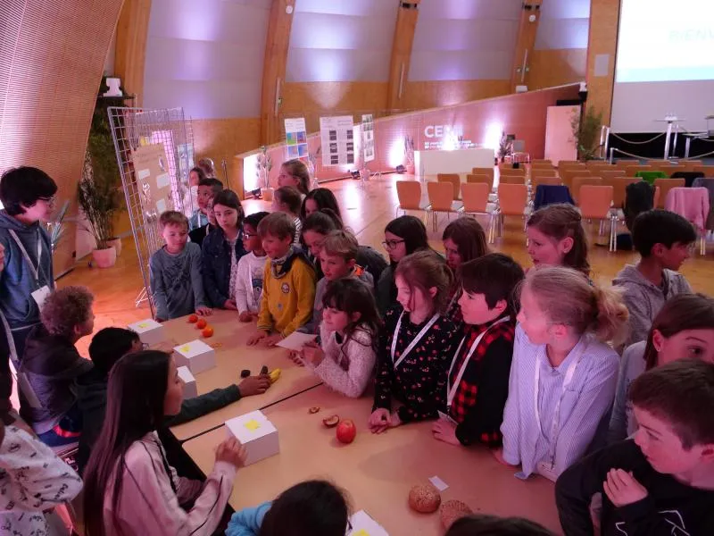 Exhibition about mass by pupils